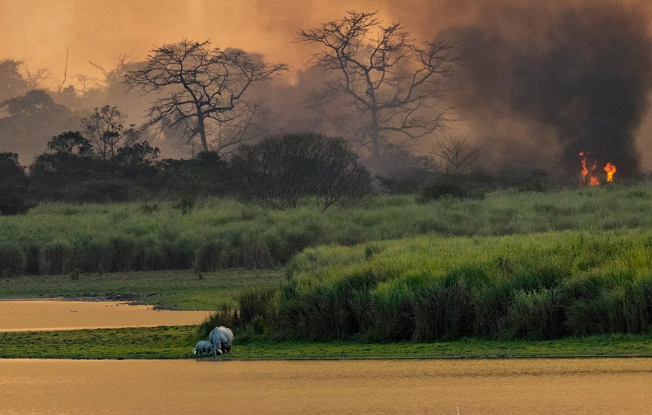 The Role of Field Studies in Effective Conservation Planning